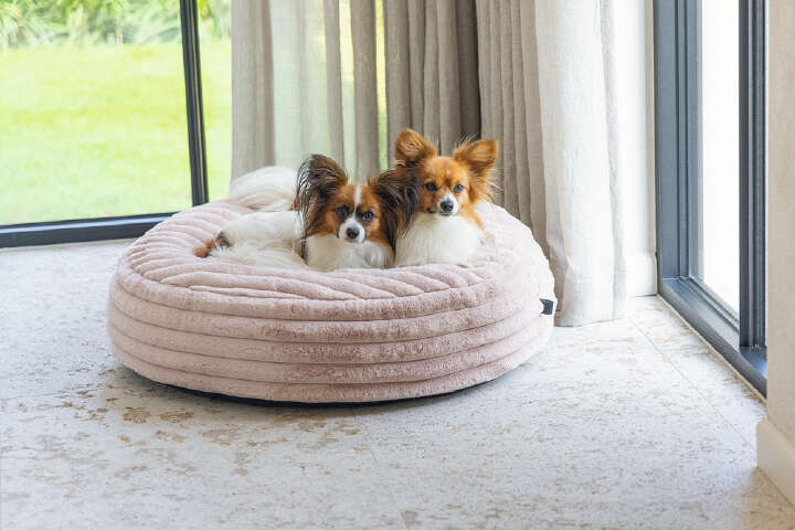 Designed by Lotte Hundekissen Reza Rund